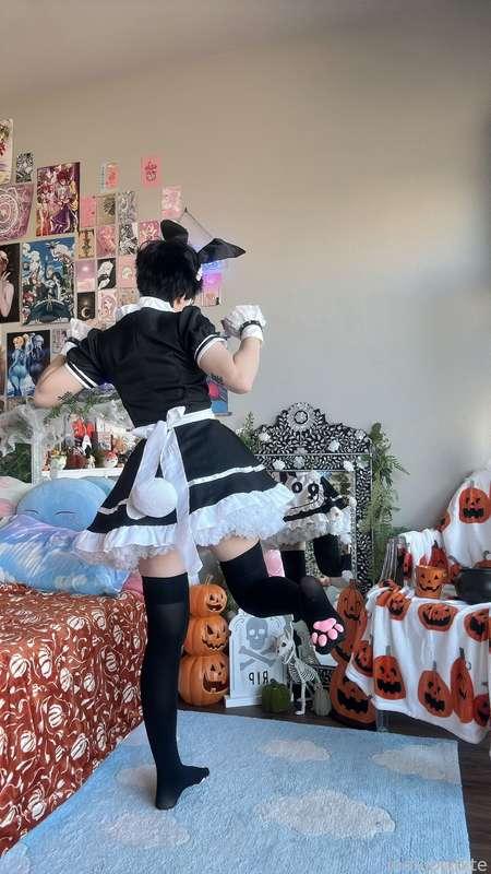 indigowhite image #63