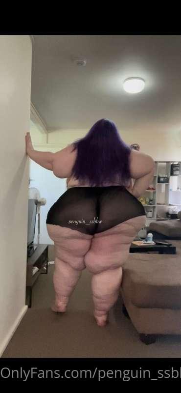 penguin_ssbbw image #2