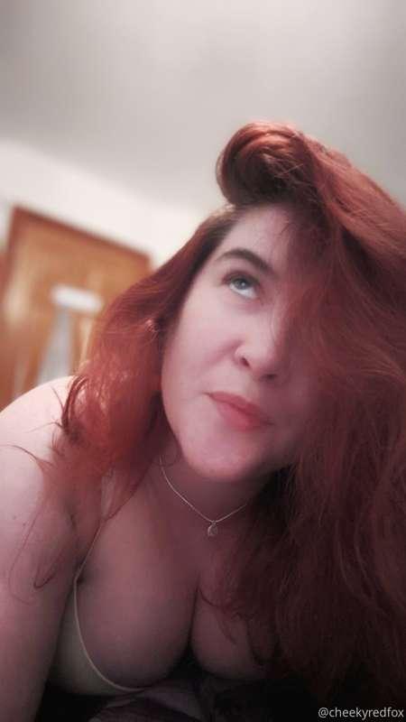 cheekyredfox image #1