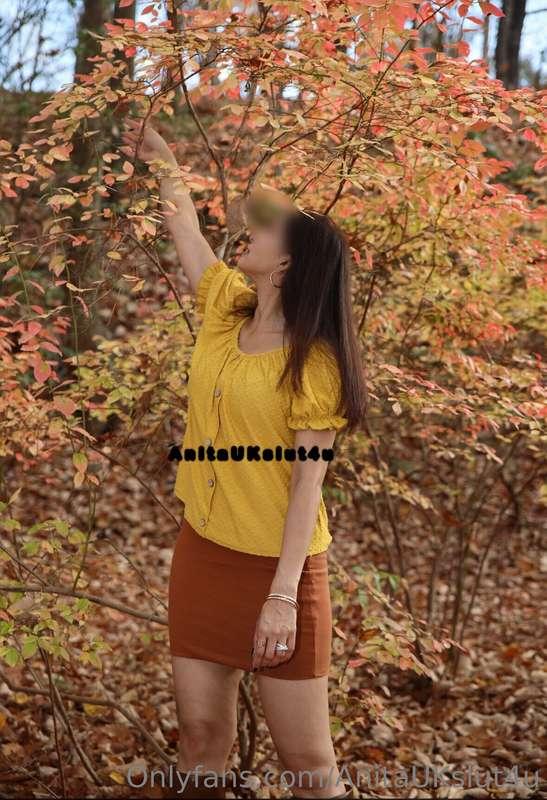 Did a fun fall photoshoot with a very talented photographer ..