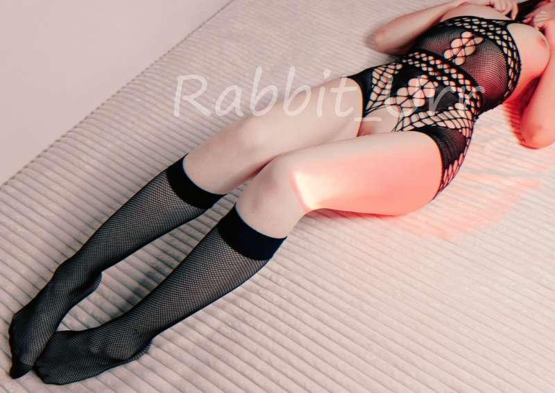 rabbit_urr image #1