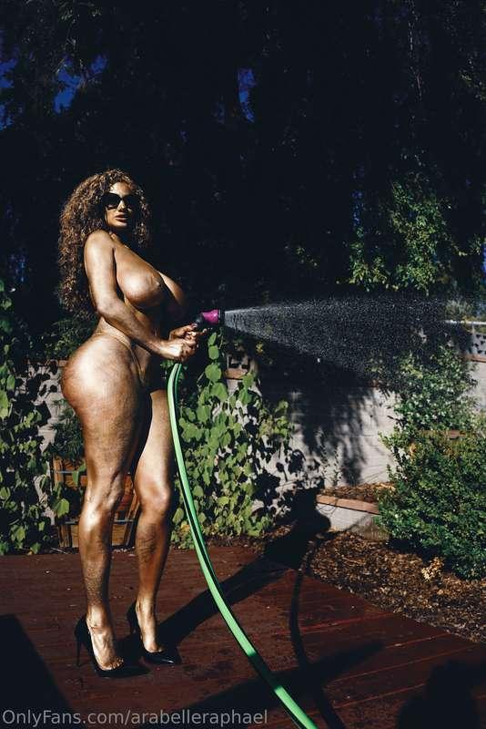  Who told you I could be tamed?