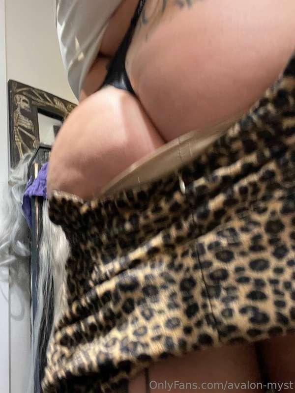 Want me to sit on your face? DM me! 😋