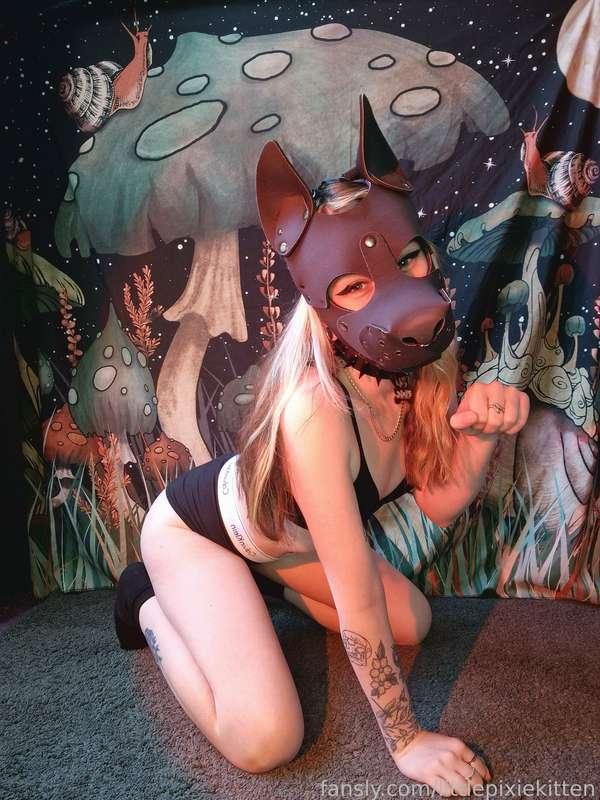 littlepixiekitten image #15