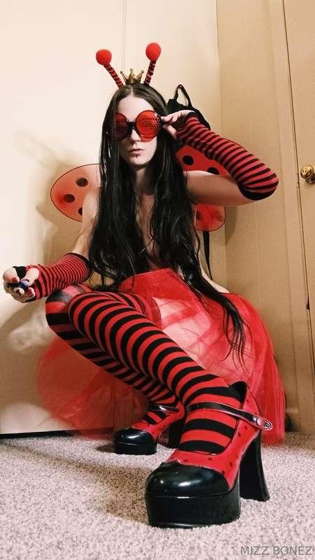 Hope I'm not bugging you this morning 🐞 but I'd really appre..