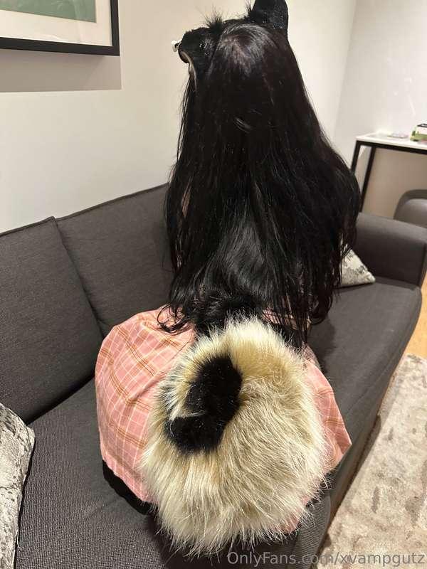 This good girl needs some attention... wanna pet me? 🐶💕