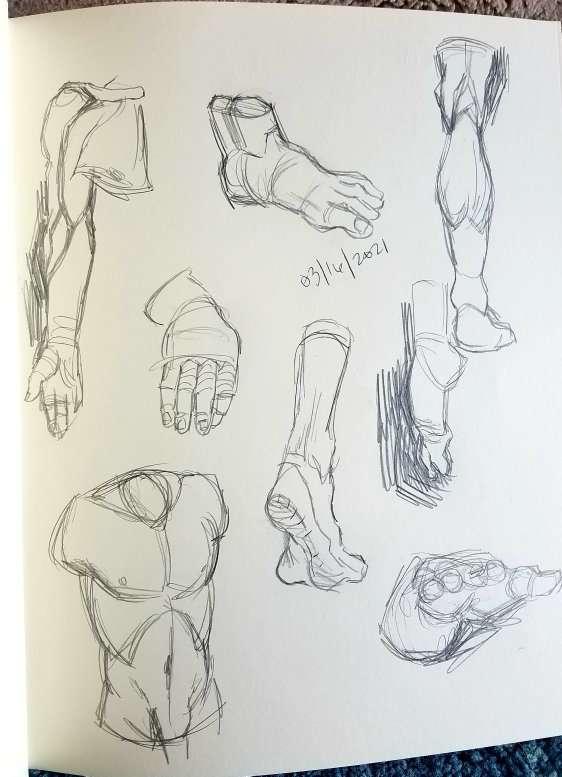 Feet and hand studies