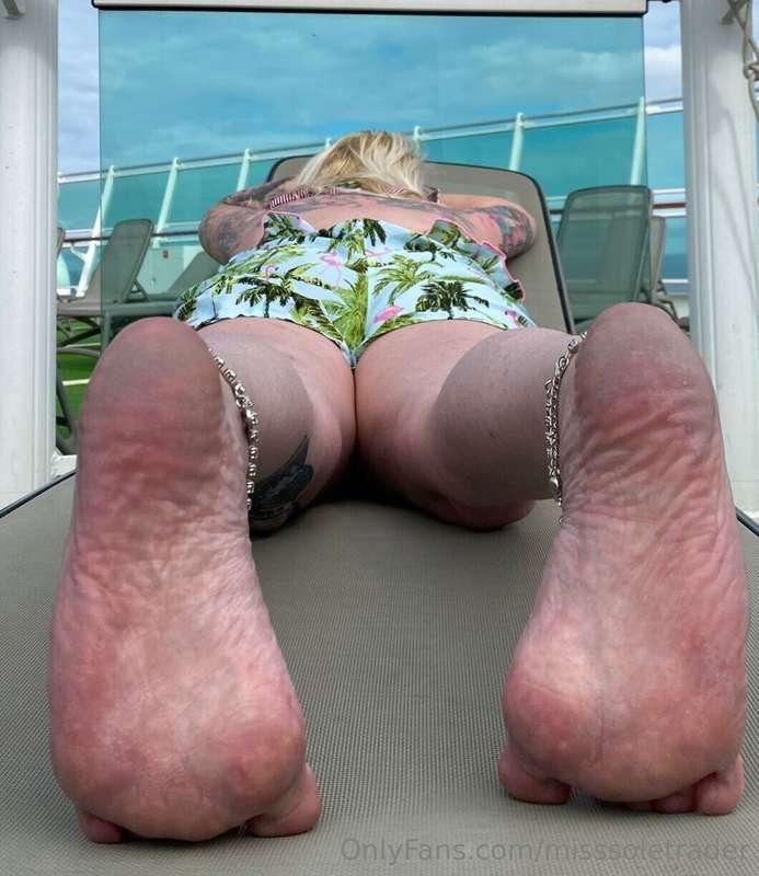 misssoletrader image #0