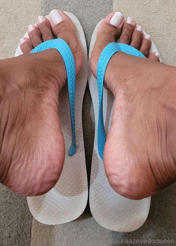 Well-marked traditional Havaianas.