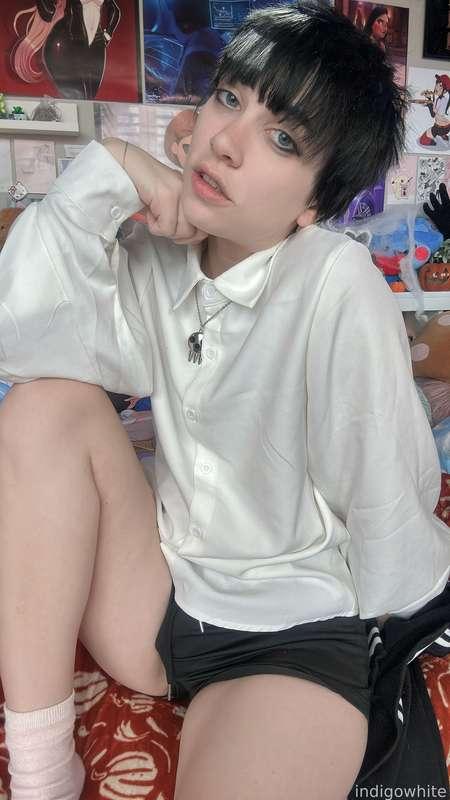 indigowhite image #27