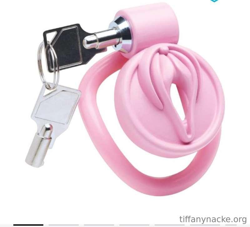 look, I found your new cage 