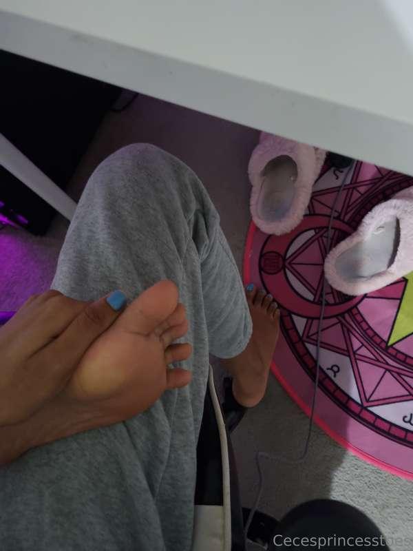 cecesprincesstoes image #3