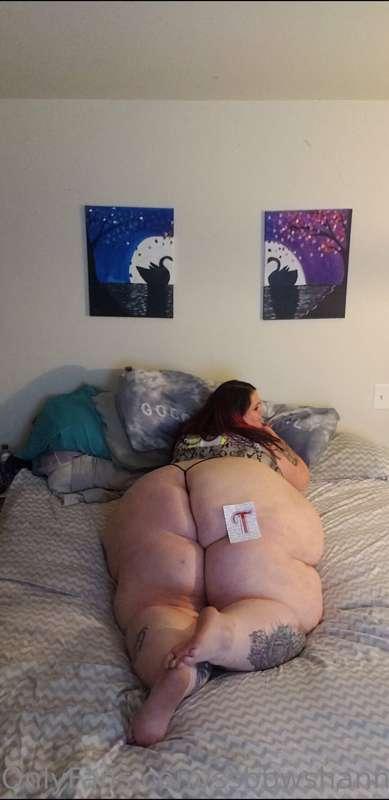 ssbbwshannonmarie image #0