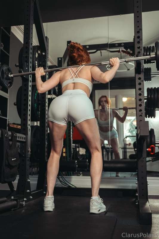 claruspolaris image #0