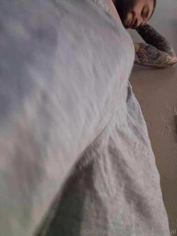 apollolupercal image #22