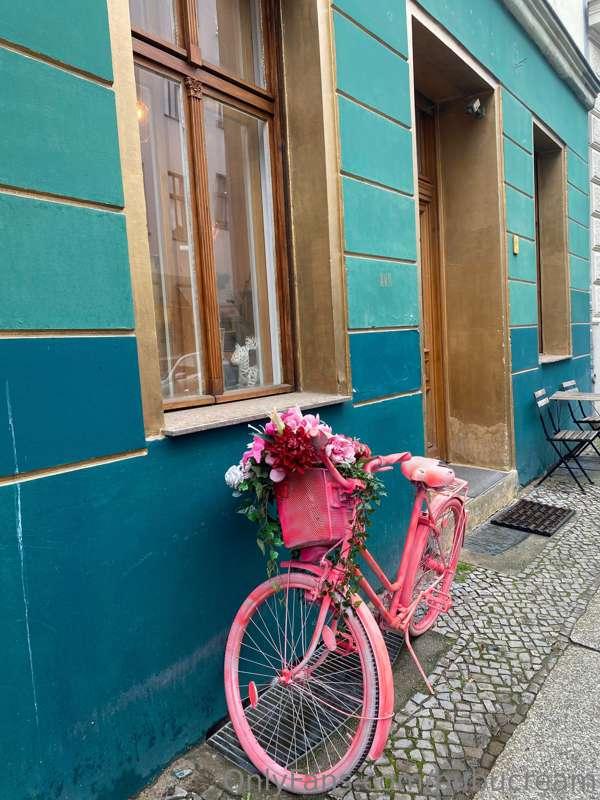 Europe cycle💜