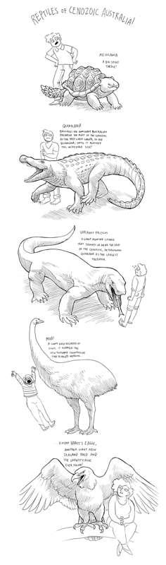 Reptiles of Cenozoic Australia