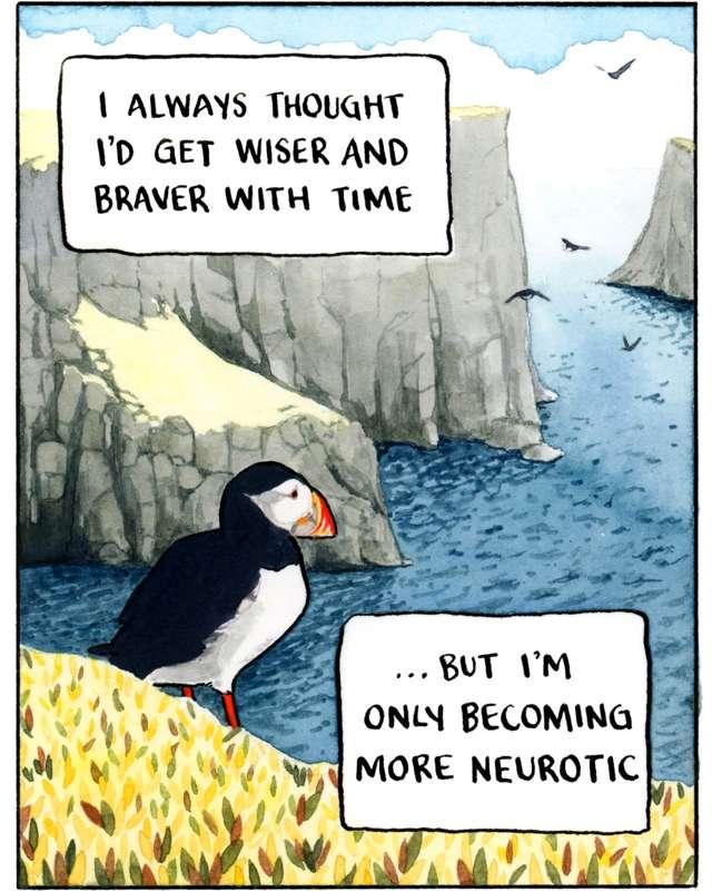 Puffin's Bluff