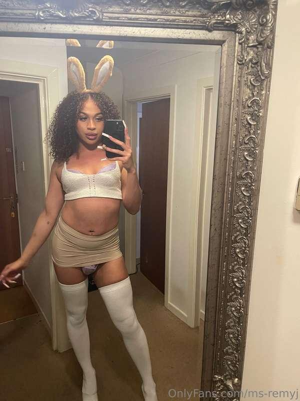 I could be your bunny🫶