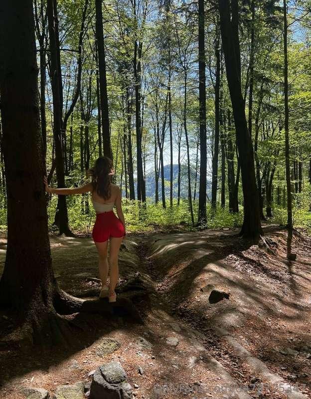 The forest wraps with silence, filled with the whispering of..