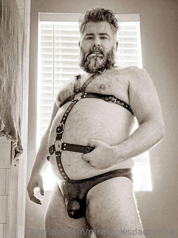 What’s that? You want more harness pictures? No problem! I t..