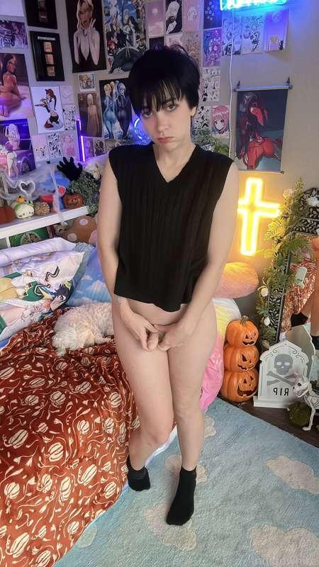 indigowhite image #159
