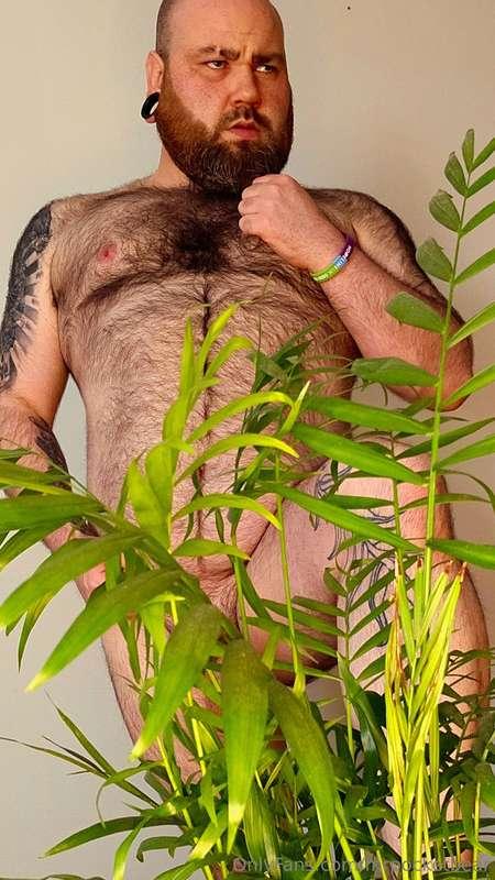 A bear in the bush is better than one in then hand?.... no, ..