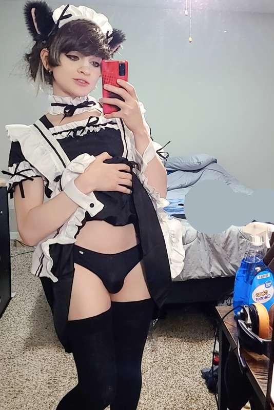 Neko Maid trappy + Artworks by Sugar Hanakawa (https://twitt..