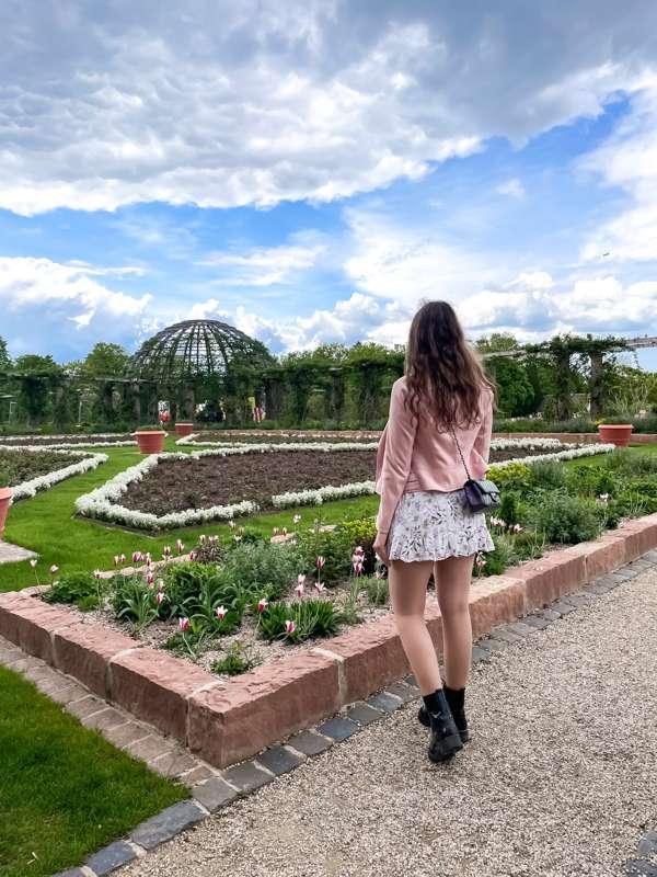 Rosenhöhe 🌹 