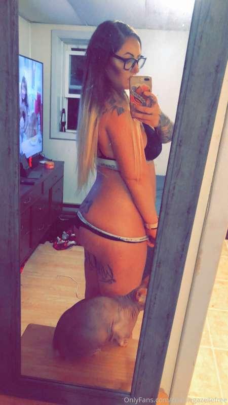 charliegazellefree image #1