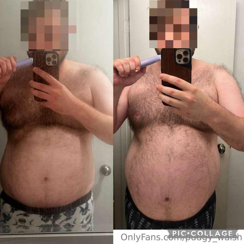 pudgy_walsh image #0