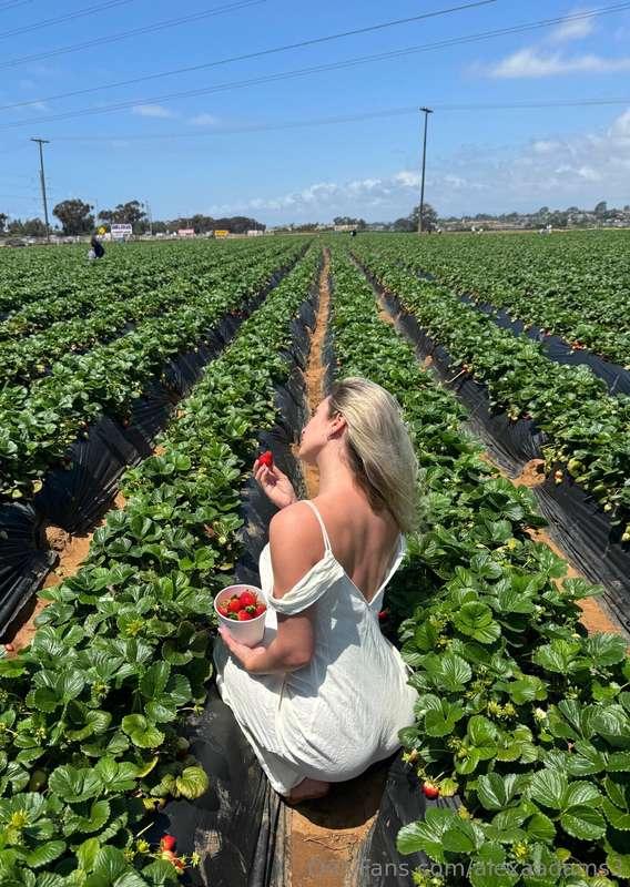 🍓