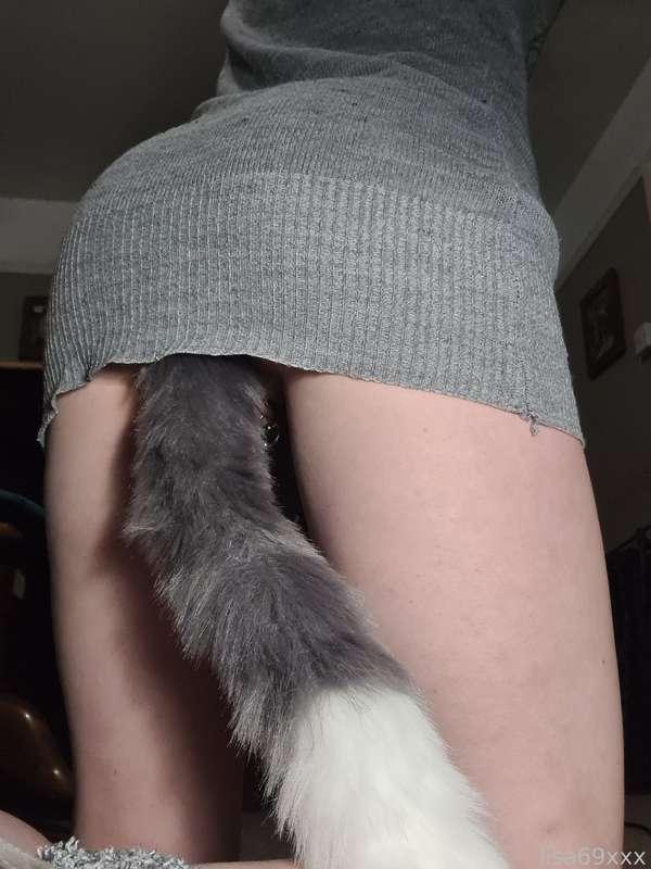 Wanna stroke my tail ?? 

#tailplug #buttplug 