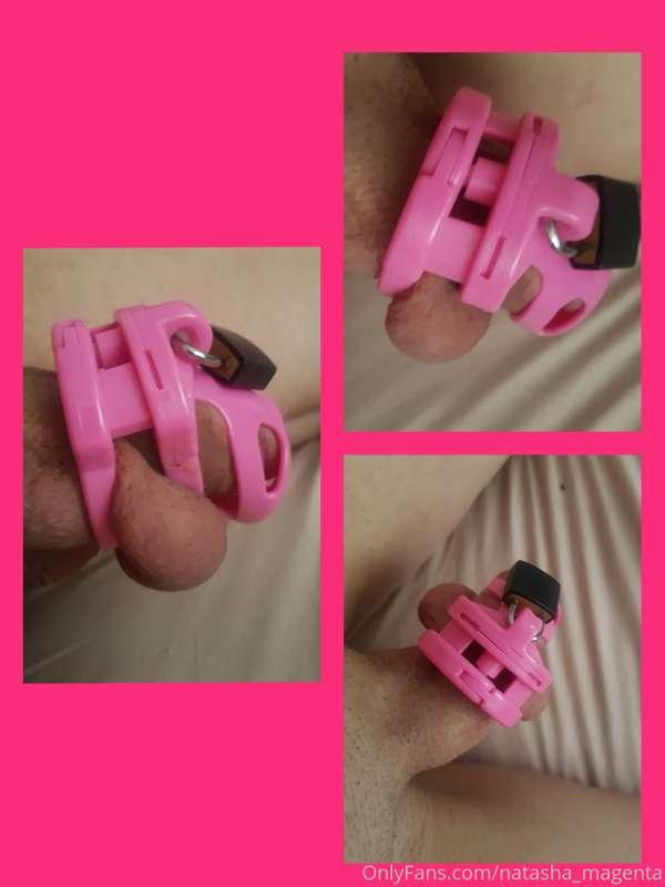 Waking up with morning wood while being locked in chastity f..