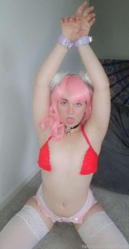 opalfoxx image #130