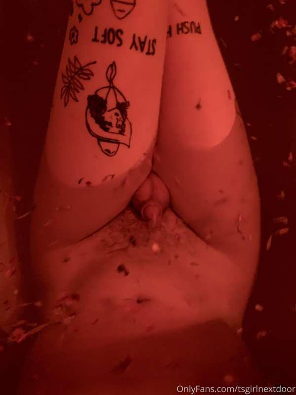 dollofyourdreams image #0