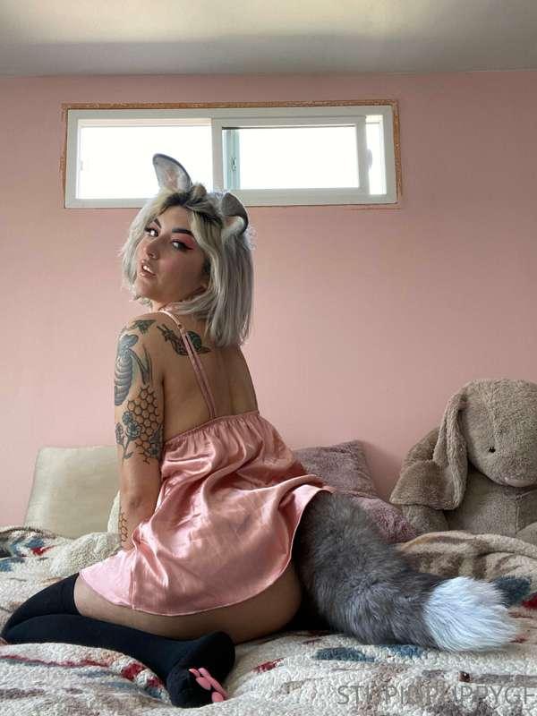 Pretty puppy in pink 🐶💕