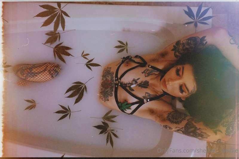 shelbie__welbie image #7