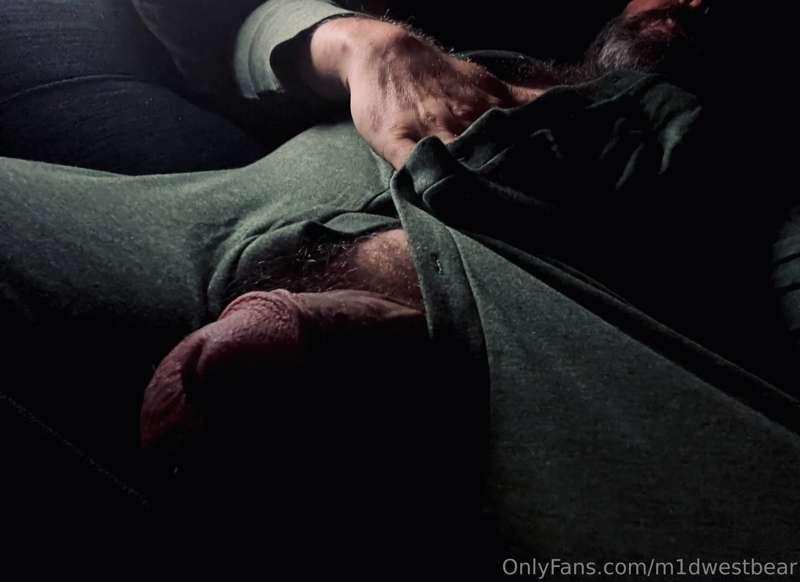 m1dwestbear image #7