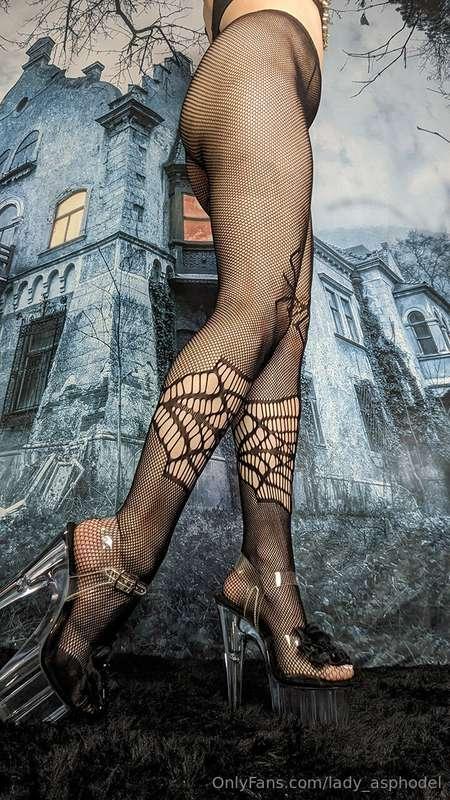 Spider tights for halloween! I wish I had something new, but..