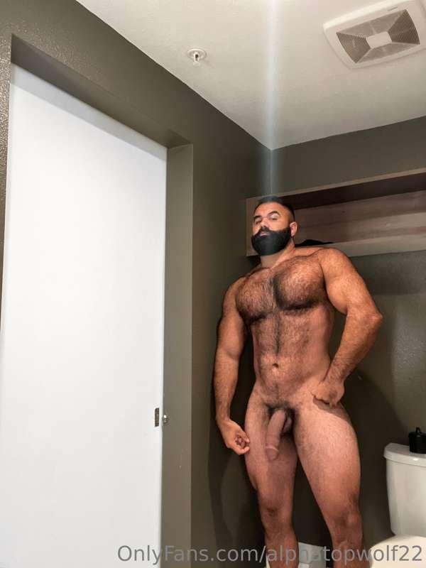 alphatopwolf22 image #1