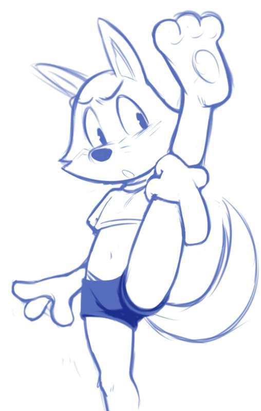 Zorori WIP 