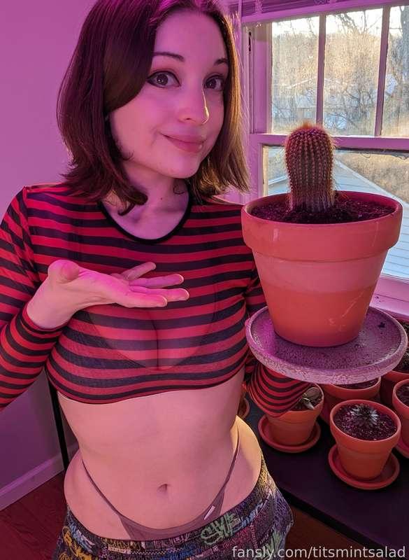 POV: I'm your plant gf 🥰🌵

#fyp #tits #cleavage #tummy #thong #shorthair #curvy #sheer #ass #titsmintsalad