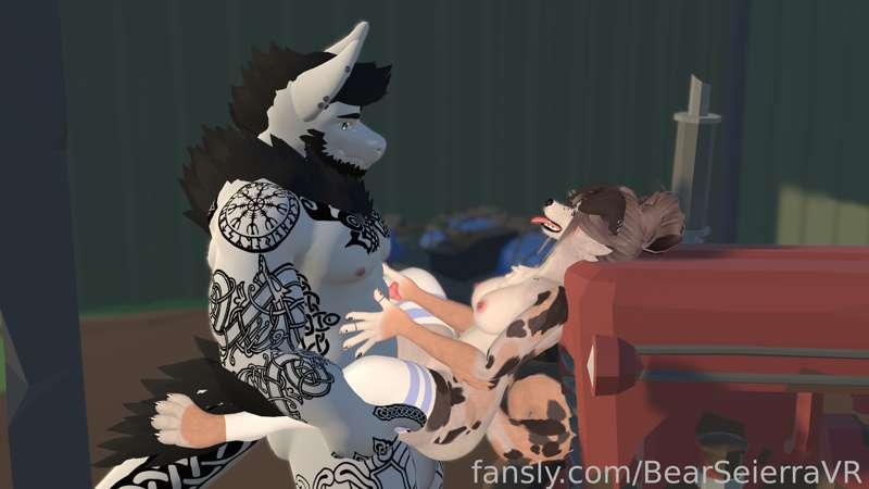 bearseierravr image #3