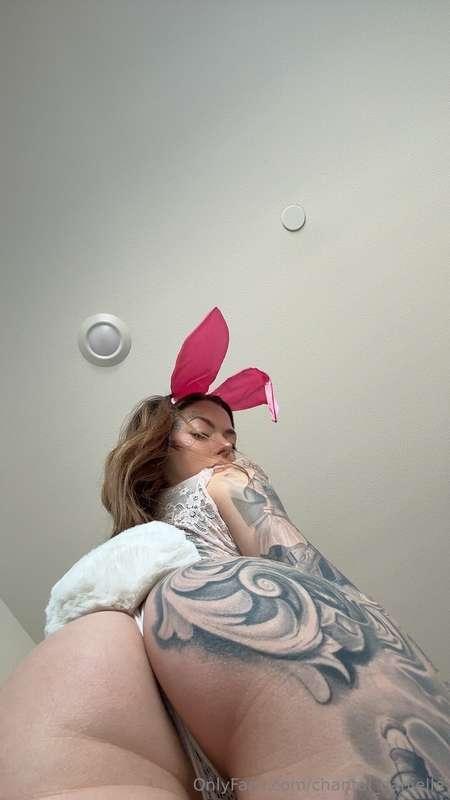 this bunny is watching you😈