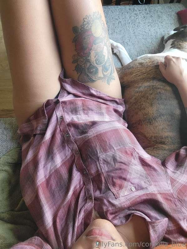 Lazy mornings are here again