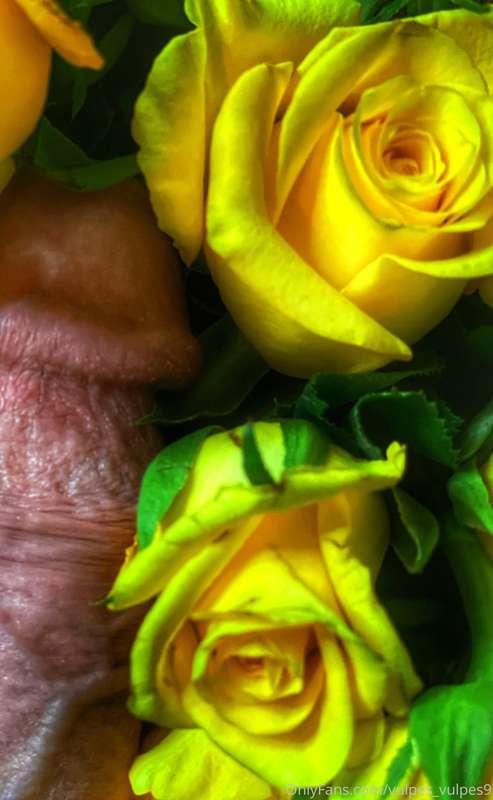 #599💥The gift and the giver.