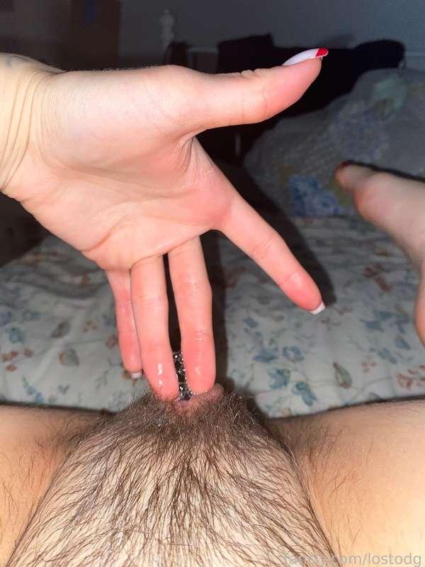 lostodg image #2