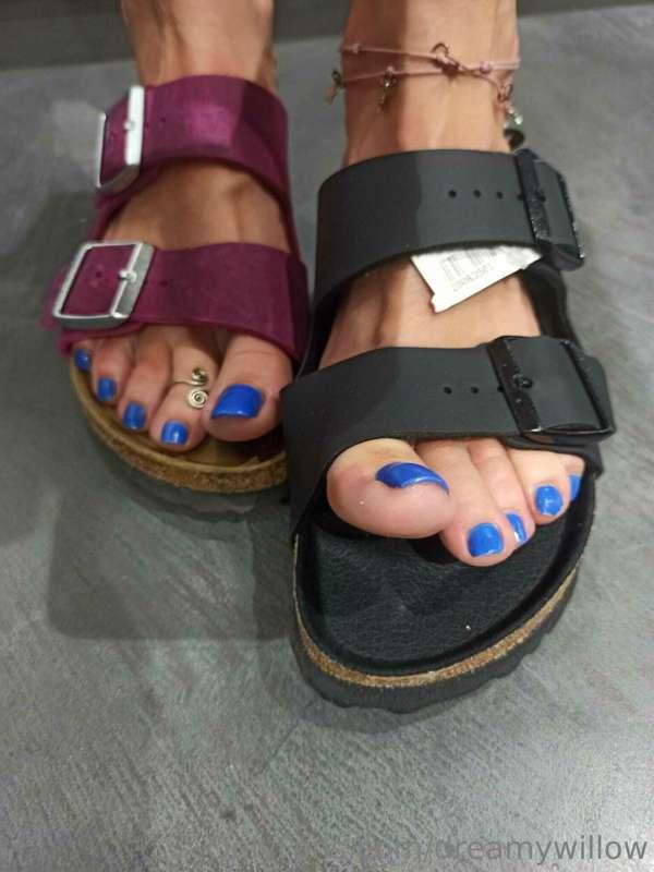 dreamywillow image #1