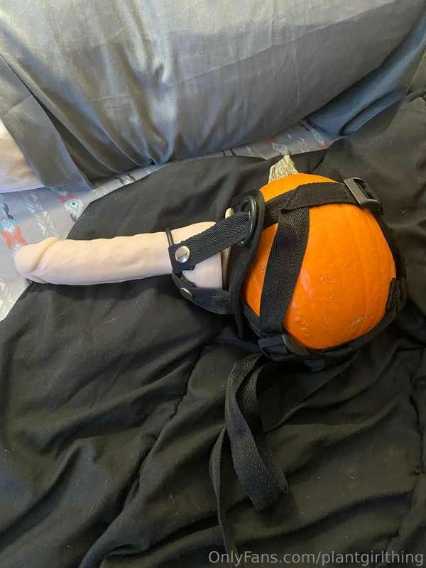 my beloved perverts.. it is time